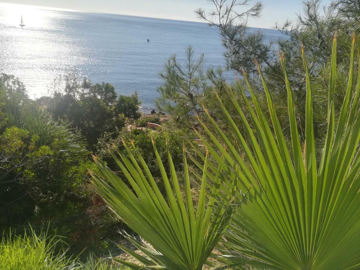 Cabo Roig Bellavista III Lejlighed Eksteriør billede