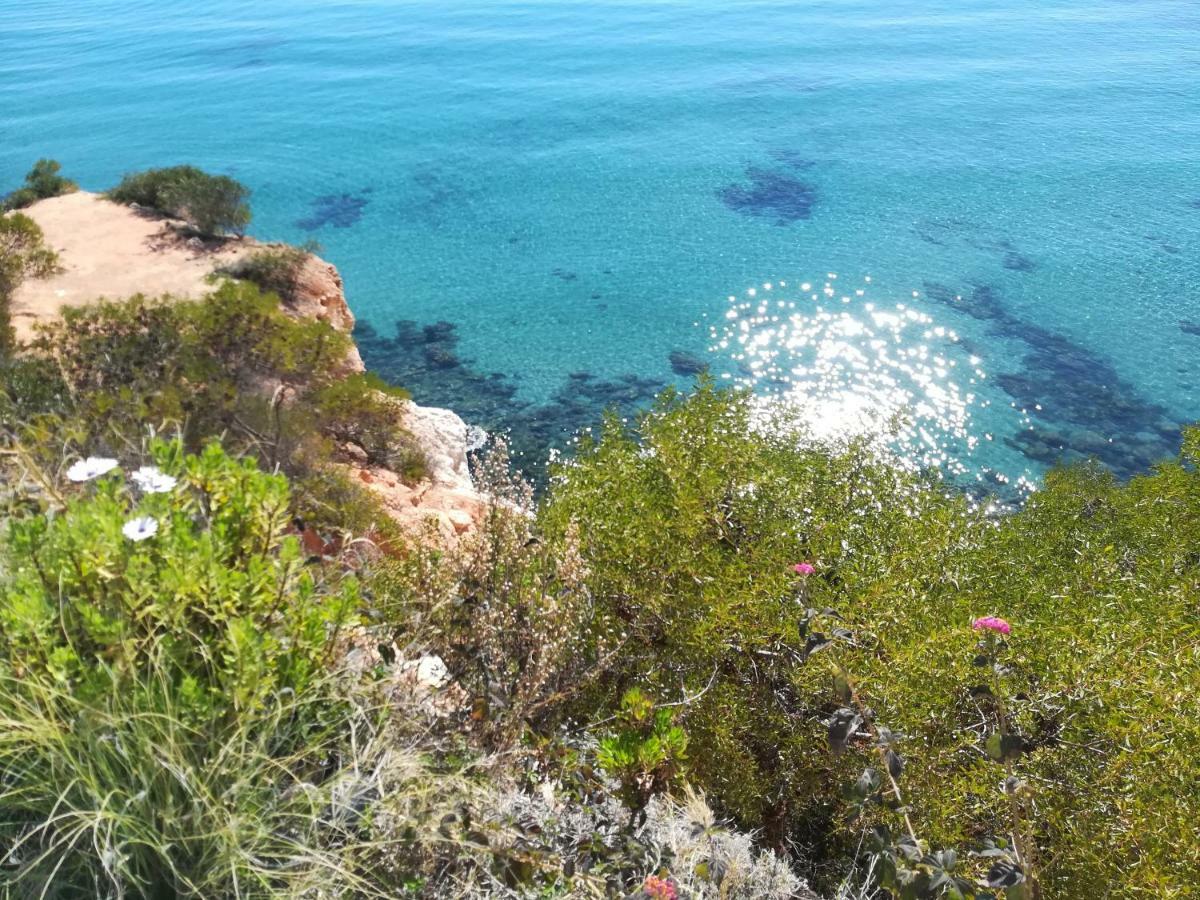 Cabo Roig Bellavista III Lejlighed Eksteriør billede