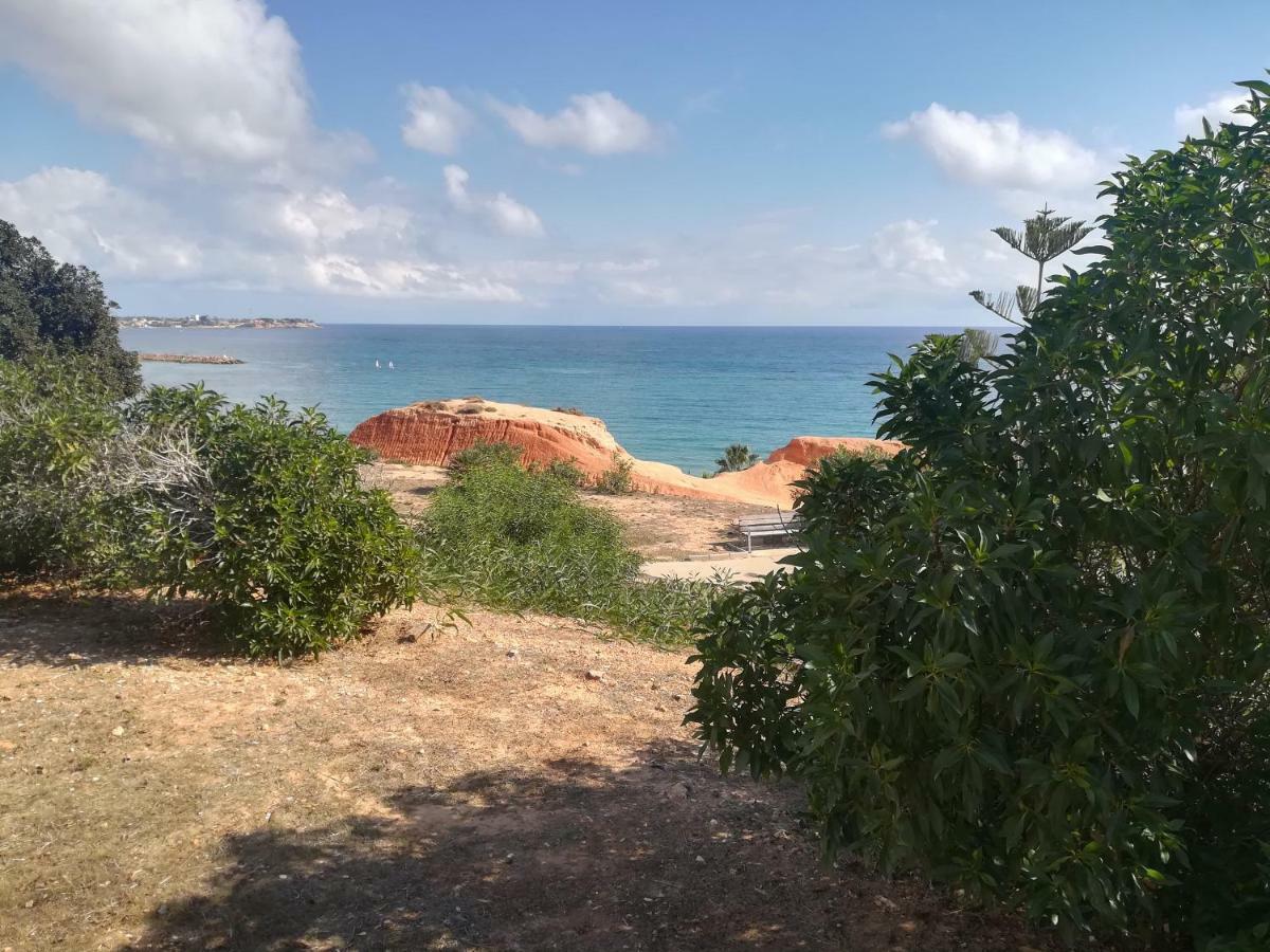Cabo Roig Bellavista III Lejlighed Eksteriør billede